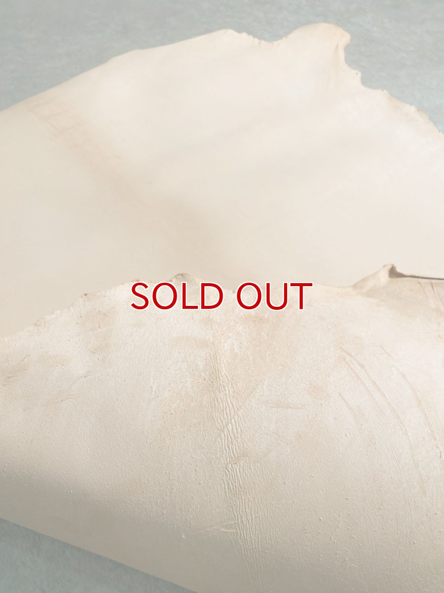 画像7: シープ　タンロー　ヌメ　羊革　ナチュラル　タンニン鞣し　 (7)