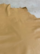 画像4: 薄口ラム　羊革　キャメル (4)