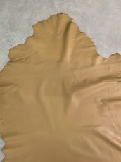 画像5: 薄口ラム　羊革　キャメル (5)