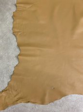 画像6: 薄口ラム　羊革　キャメル (6)
