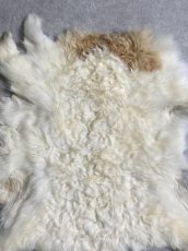 画像3: ラム毛皮　羊毛　ファー　羊毛皮　 (3)