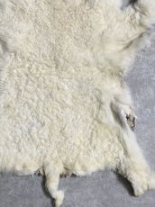 画像5: ラム毛皮　羊毛　ファー　羊毛皮　 (5)