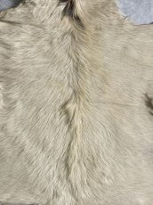 画像2: キッドラム毛皮　羊毛　ファー　羊毛皮　 (2)