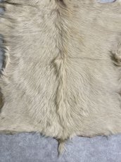 画像4: キッドラム毛皮　羊毛　ファー　羊毛皮　 (4)