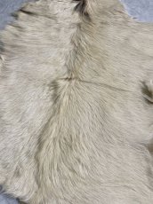 画像5: キッドラム毛皮　羊毛　ファー　羊毛皮　 (5)