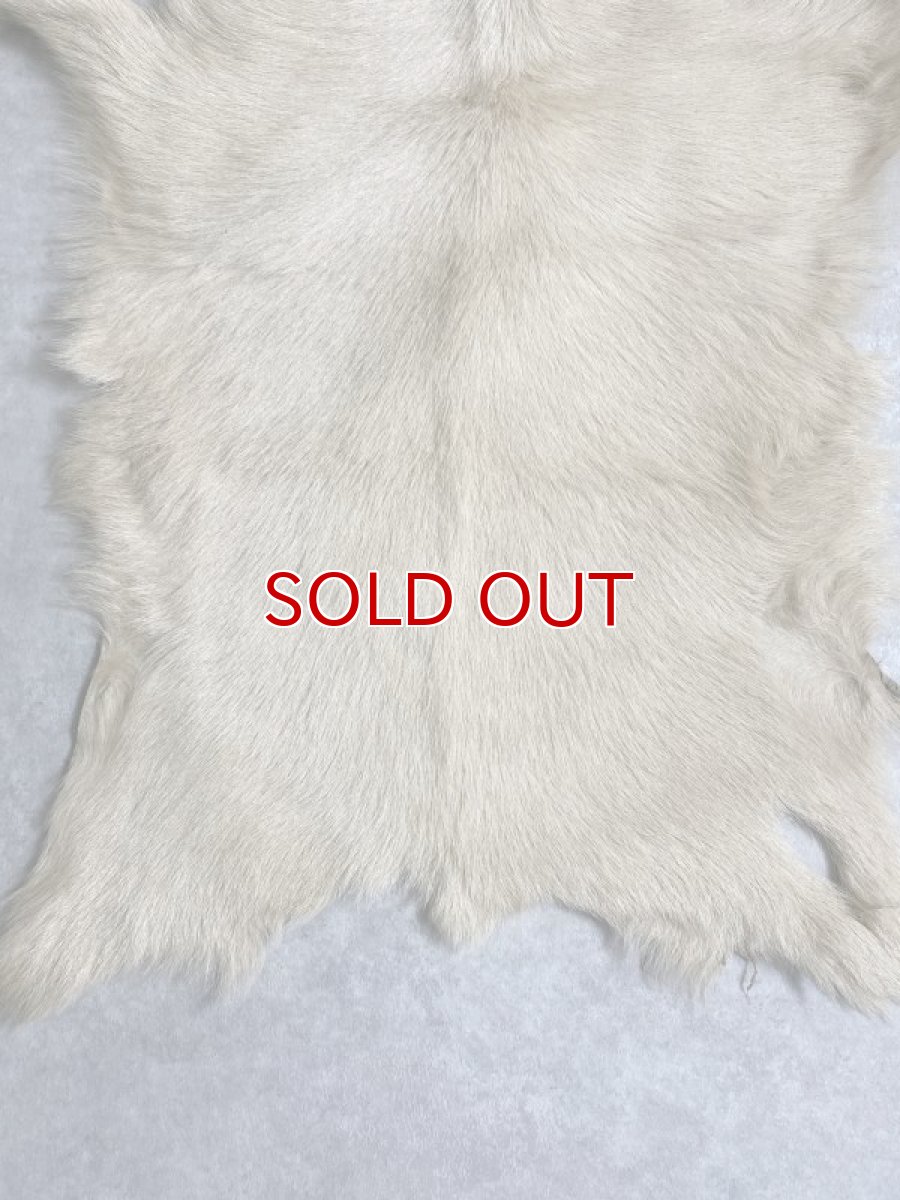 画像4: キッドラム毛皮 羊毛 ファー 羊毛皮  (4)