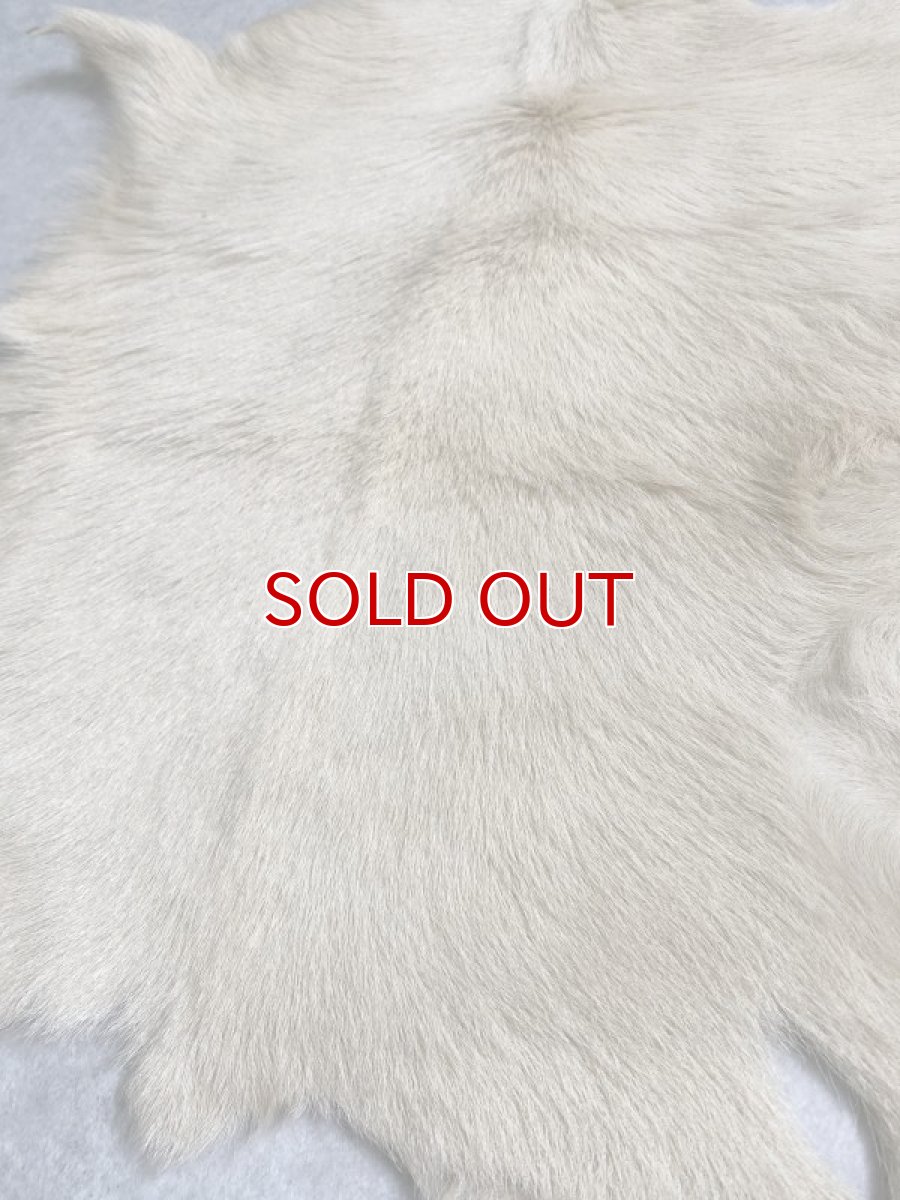 画像5: キッドラム毛皮 羊毛 ファー 羊毛皮  (5)