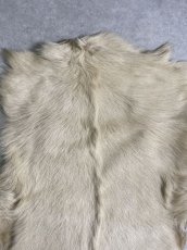 画像3: キッドラム毛皮　羊毛　ファー　羊毛皮　 (3)
