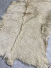 画像5: キッドラム毛皮　羊毛　ファー　羊毛皮　 (5)