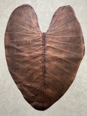 画像1: beLEAF  リーフレザー　ダークブラウン　Mサイズ　葉っぱの革　クワズイモ　エコロジーレザー　ブラジル (1)