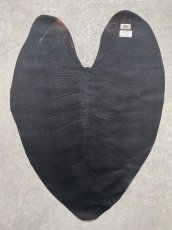 画像8: beLEAF  リーフレザー　ダークブラウン　Mサイズ　葉っぱの革　クワズイモ　エコロジーレザー　ブラジル (8)