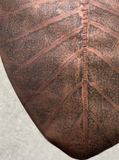 画像4: beLEAF  リーフレザー　ダークブラウン　Mサイズ　葉っぱの革　クワズイモ　エコロジーレザー　ブラジル (4)