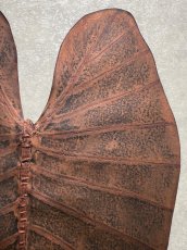 画像3: beLEAF  リーフレザー　ダークブラウン　Mサイズ　葉っぱの革　クワズイモ　エコロジーレザー　ブラジル (3)