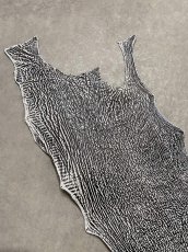 画像3: シャーク　白×黒　サメ革　鮫革　シャークスキン　 (3)