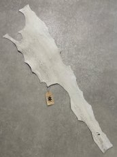 画像7: シャーク　白×黒　サメ革　鮫革　シャークスキン　 (7)