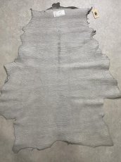 画像8: アンテロープ　 (8)