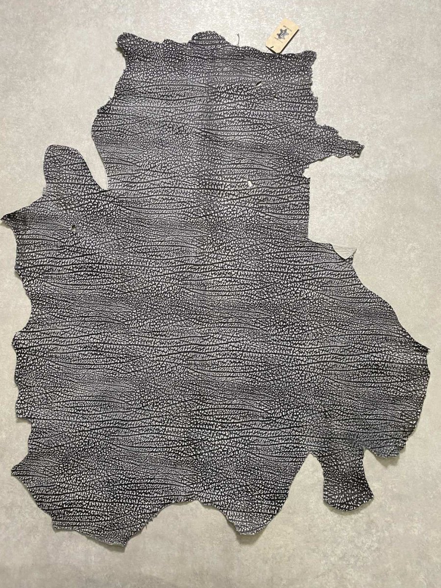 画像1: アンテロープ　 (1)