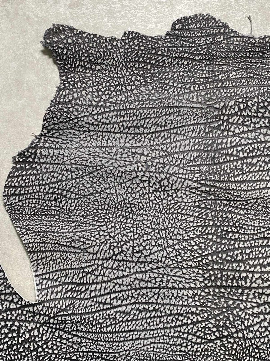 画像2: アンテロープ　 (2)