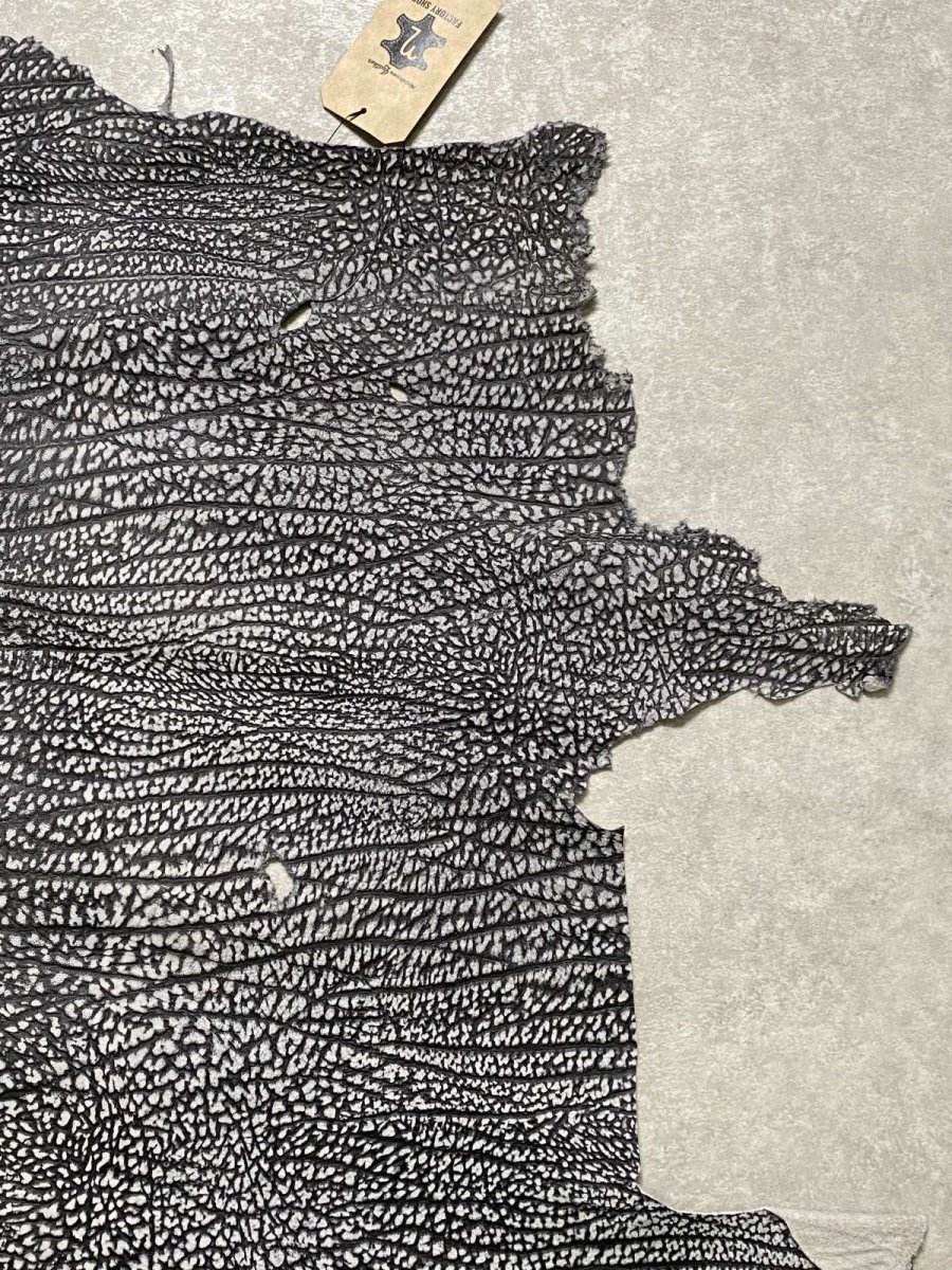 画像3: アンテロープ　 (3)