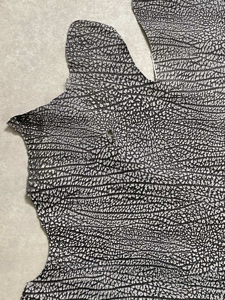 画像4: アンテロープ　 (4)