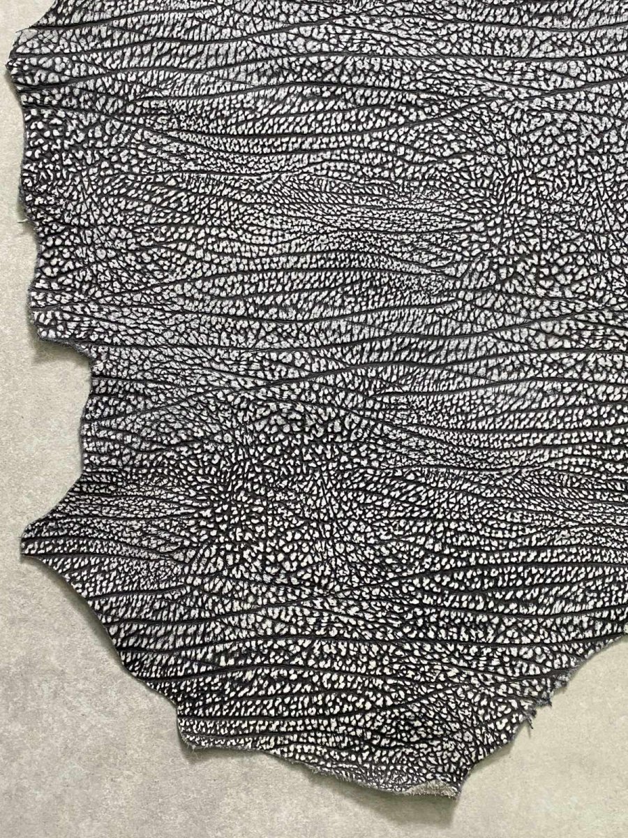 画像6: アンテロープ　 (6)