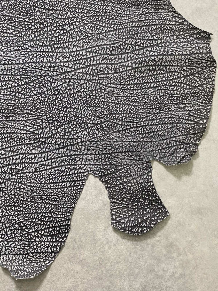 画像7: アンテロープ　 (7)