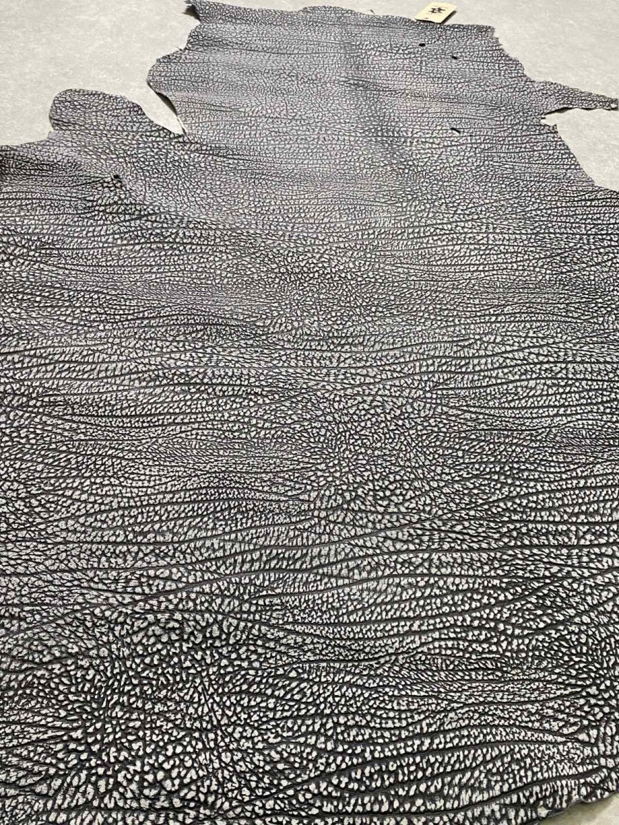 画像8: アンテロープ　 (8)