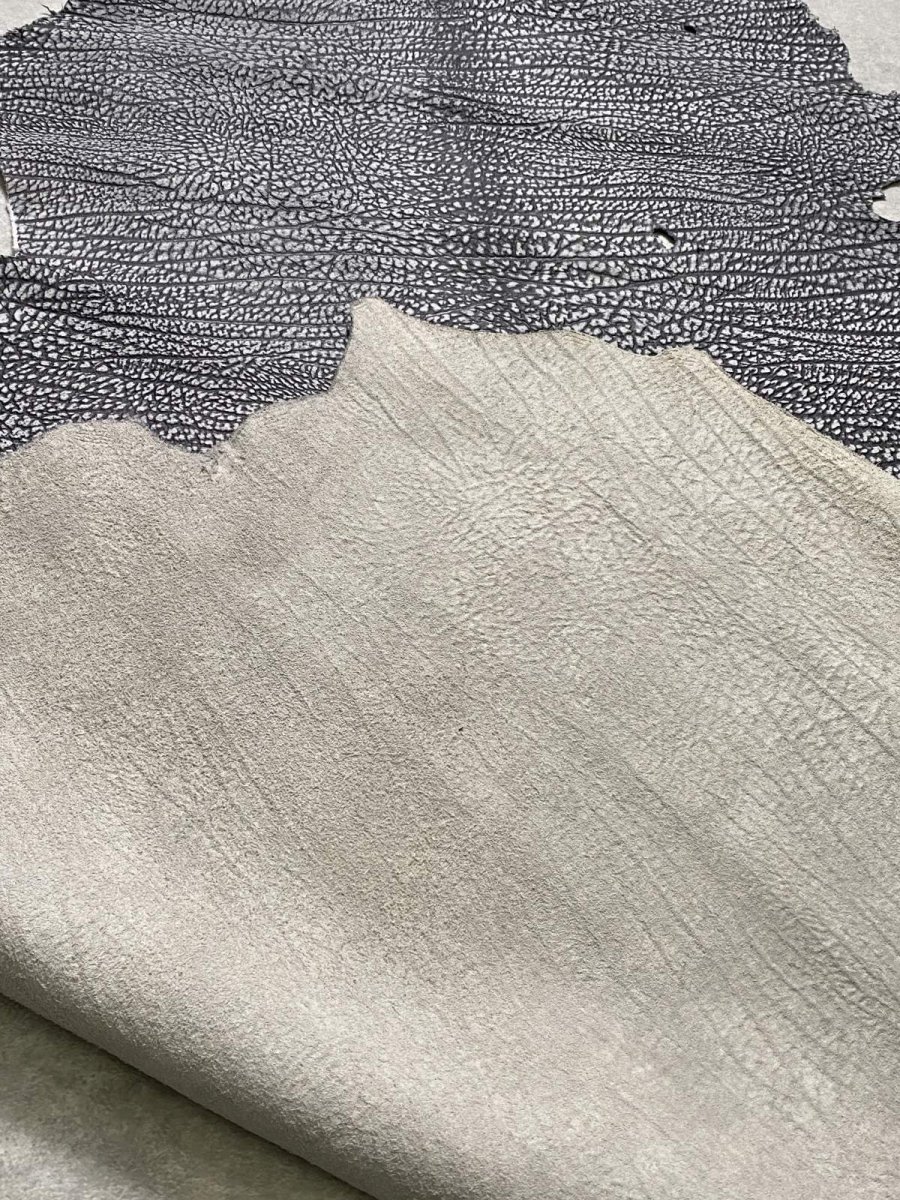 画像10: アンテロープ　 (10)