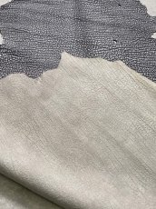 画像10: アンテロープ　 (10)