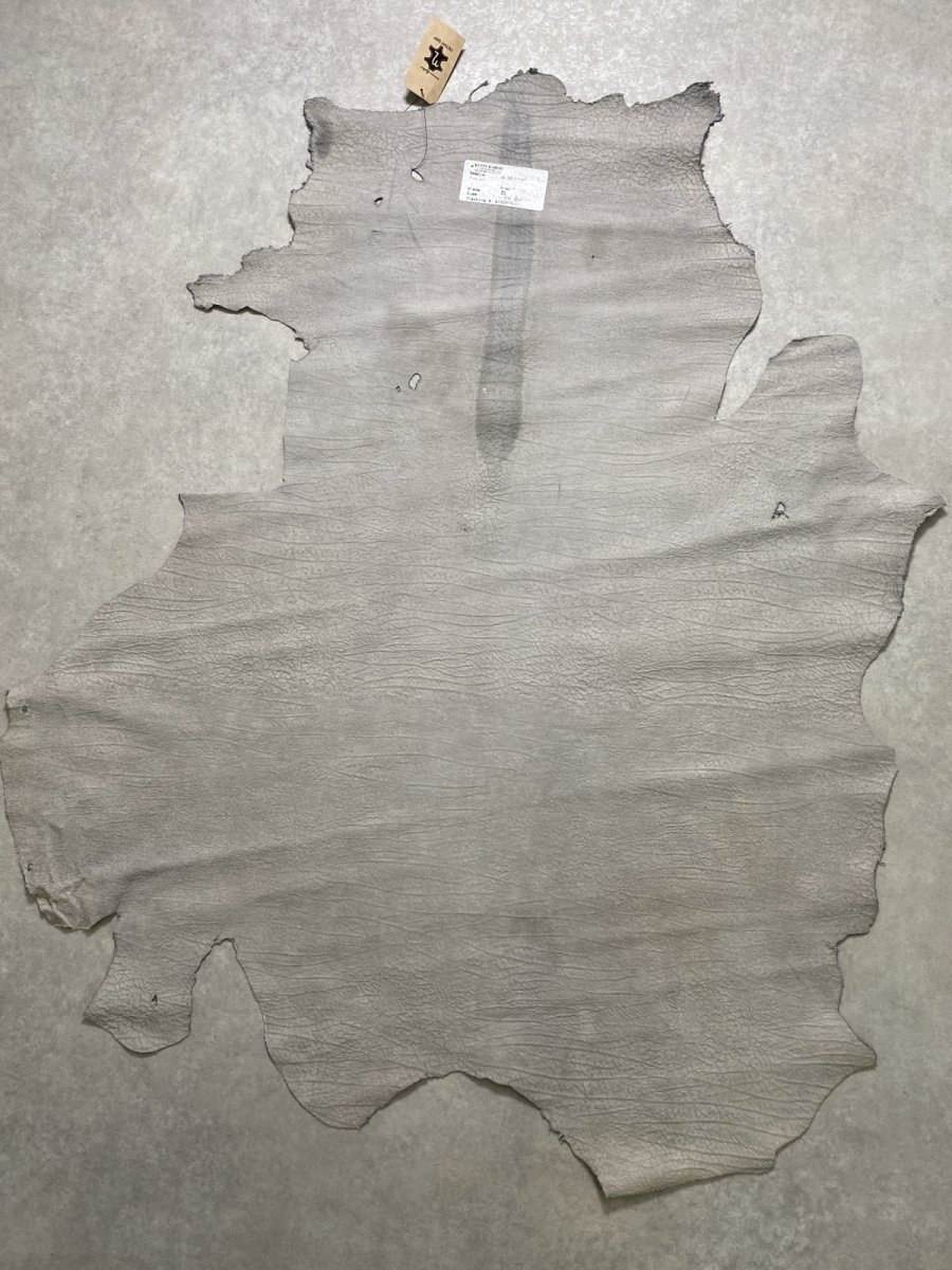 画像11: アンテロープ　 (11)