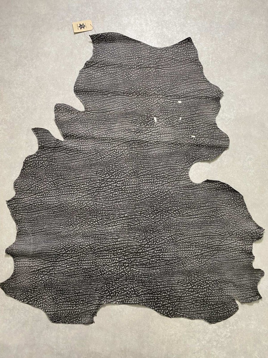 画像1: アンテロープ　 (1)