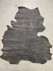 画像1: アンテロープ　 (1)