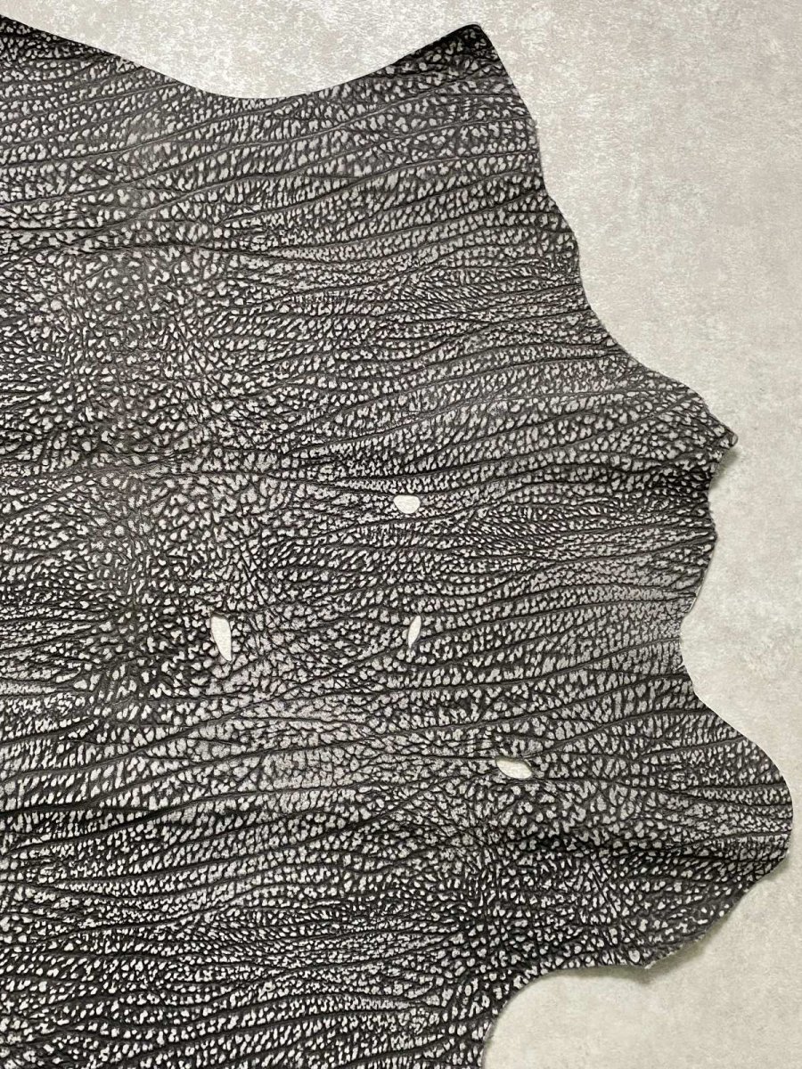 画像3: アンテロープ　 (3)