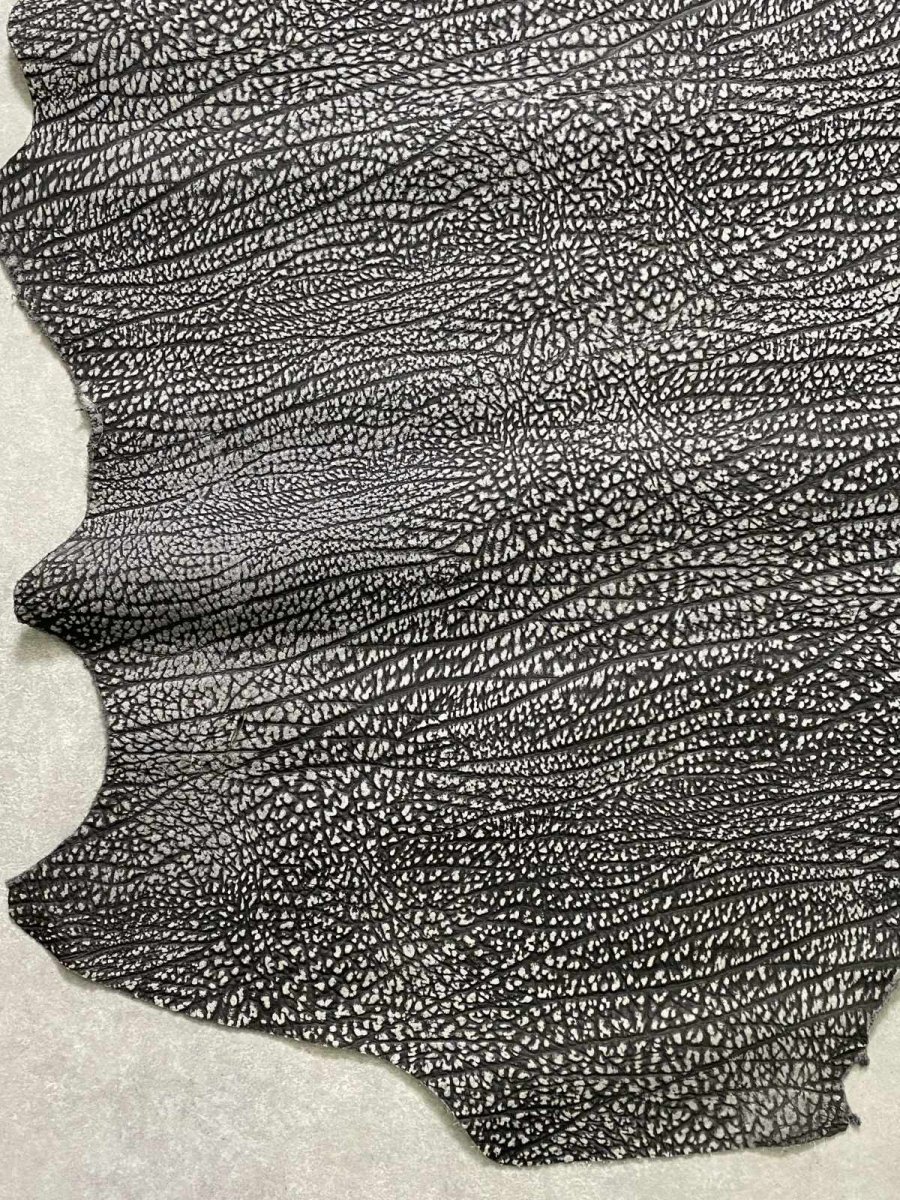 画像4: アンテロープ　 (4)