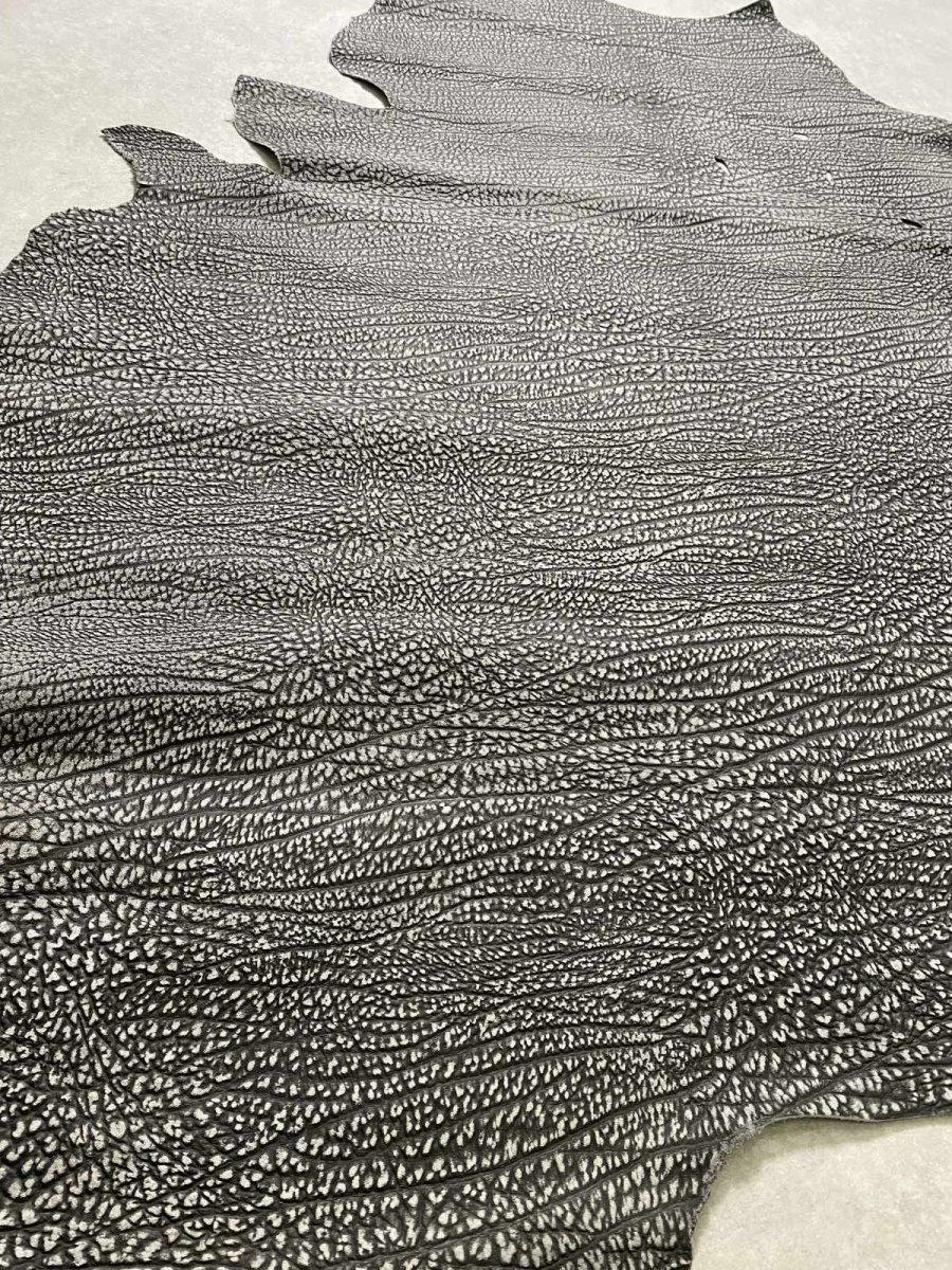 画像6: アンテロープ　 (6)