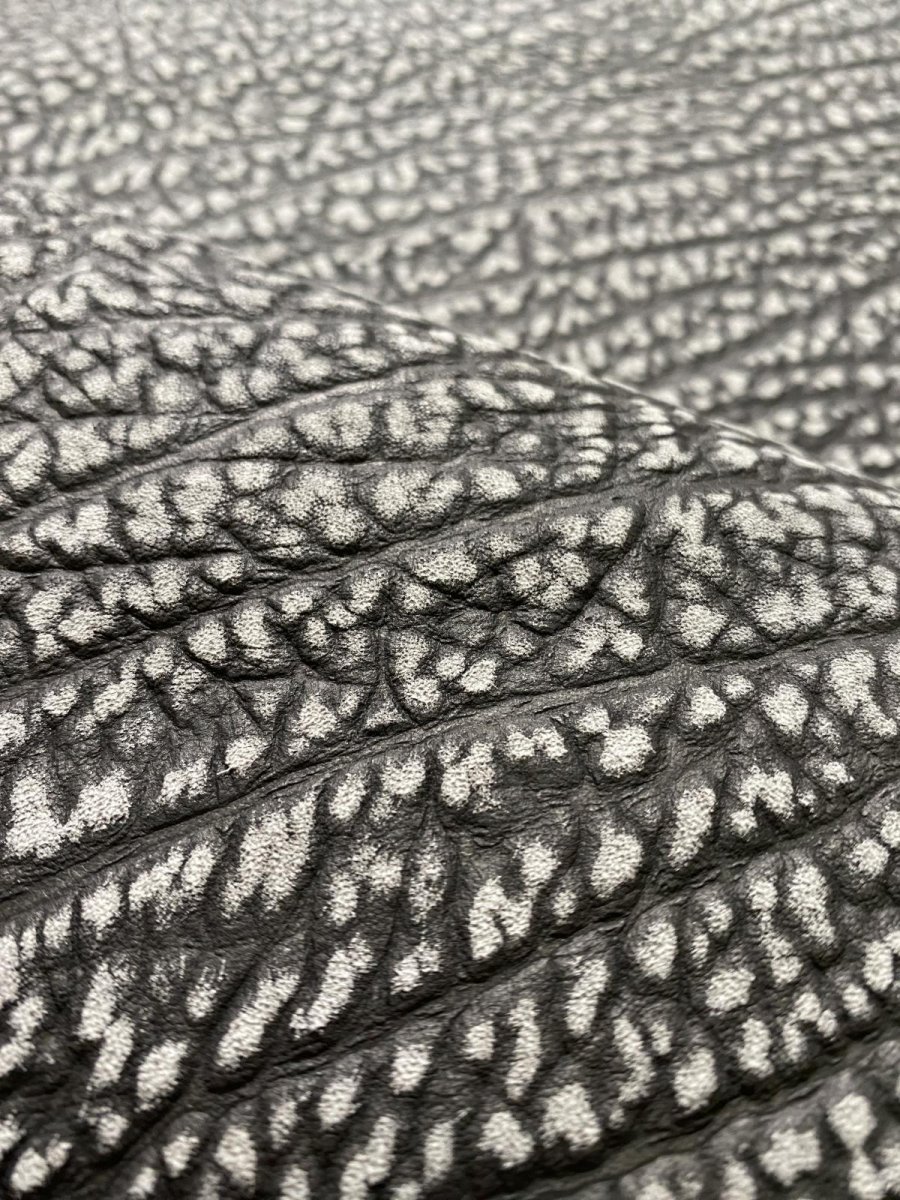 画像8: アンテロープ　 (8)