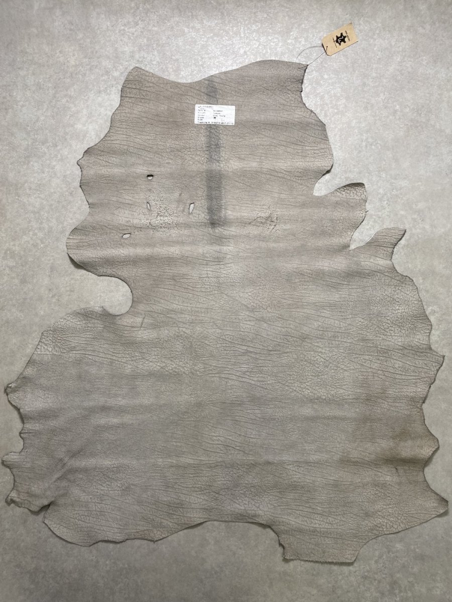 画像9: アンテロープ　 (9)