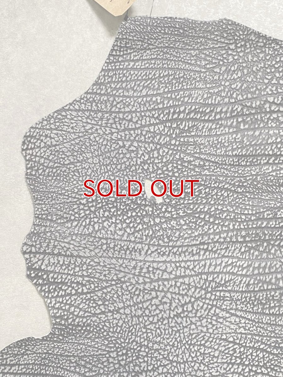 画像2: アンテロープ　 (2)