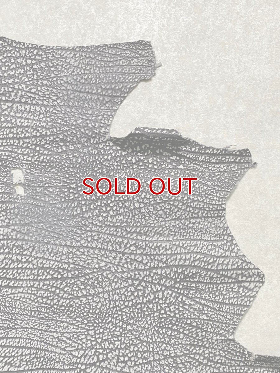 画像3: アンテロープ　 (3)