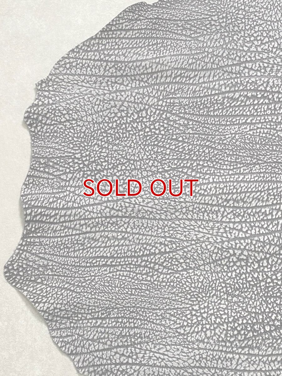 画像4: アンテロープ　 (4)