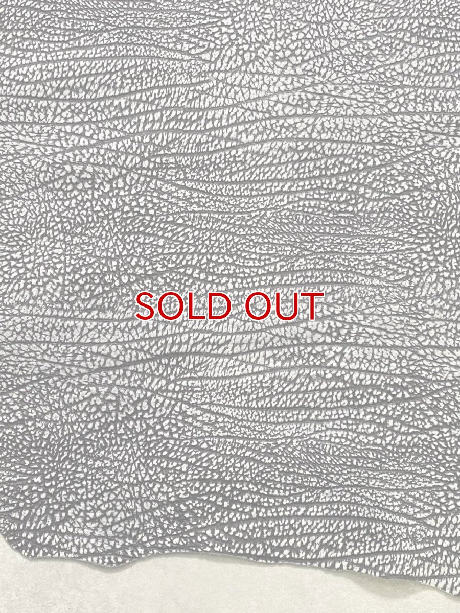 画像5: アンテロープ　 (5)