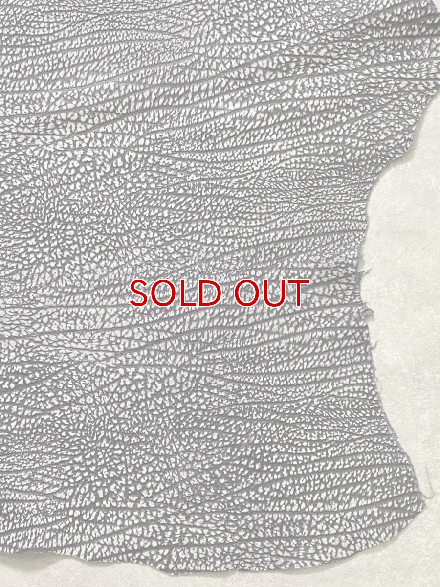 画像7: アンテロープ　 (7)