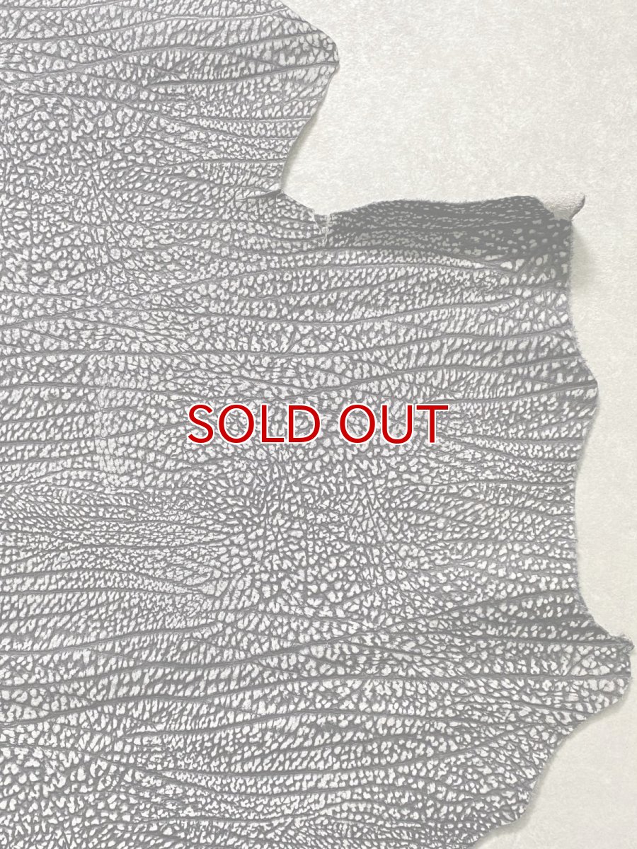 画像6: アンテロープ　 (6)