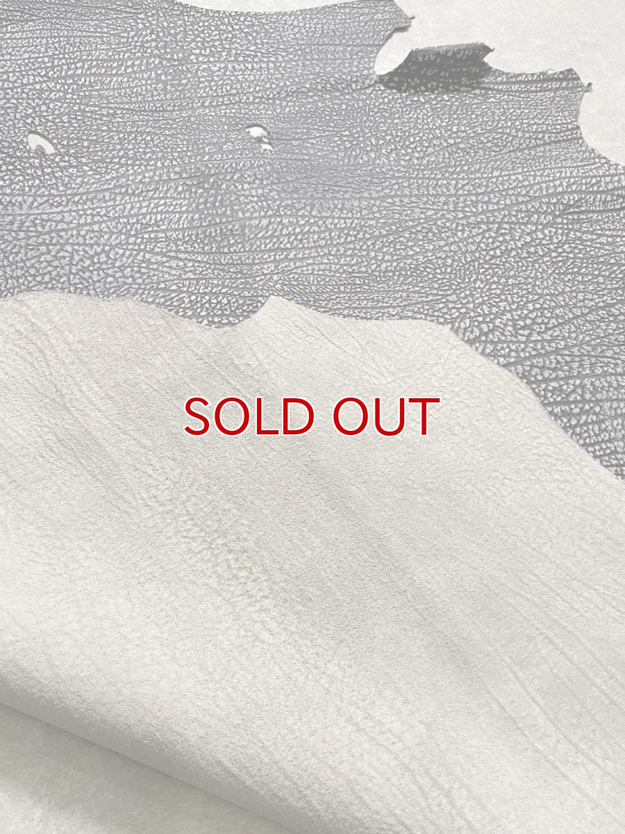 画像10: アンテロープ　 (10)