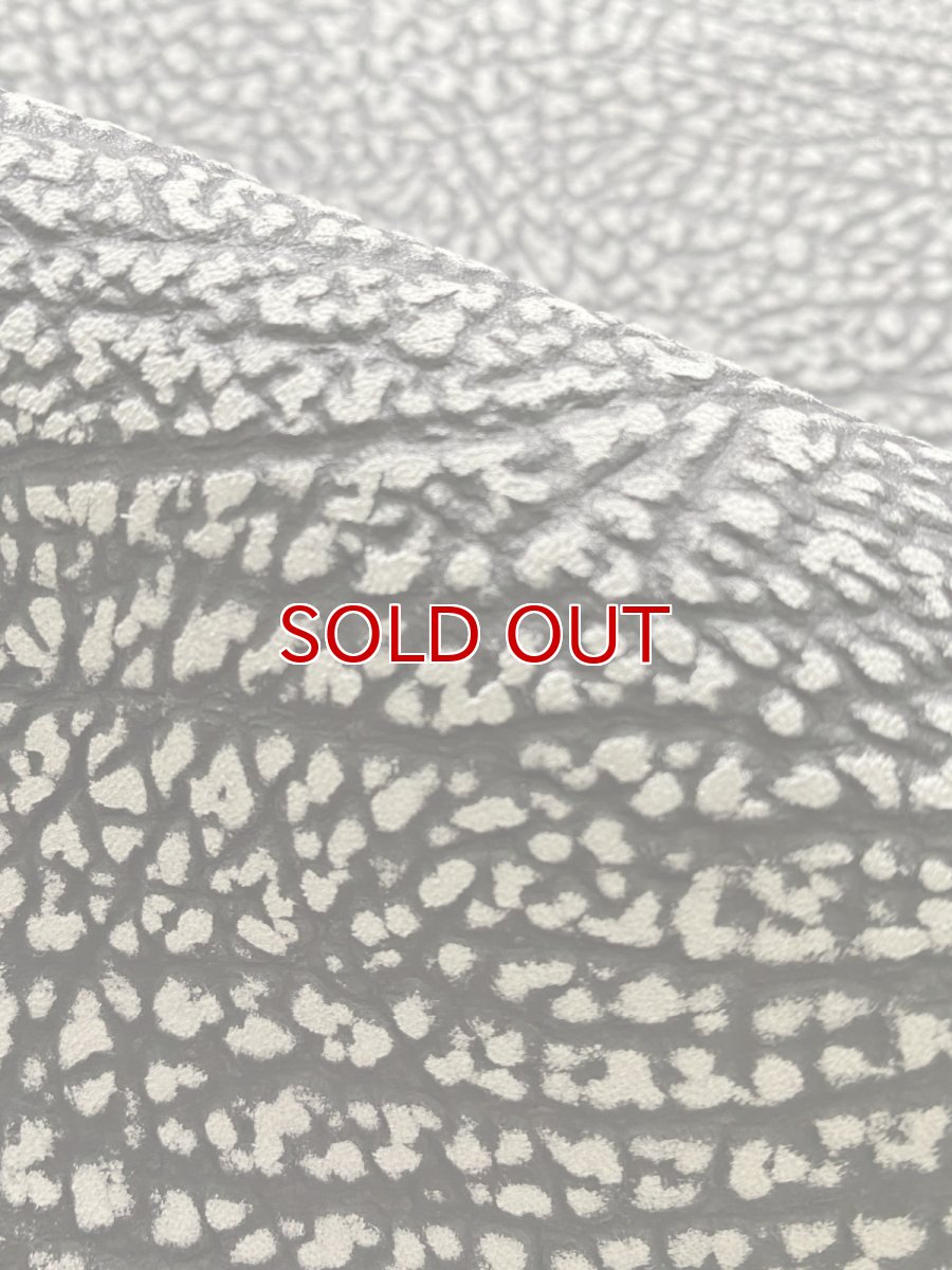 画像9: アンテロープ　 (9)