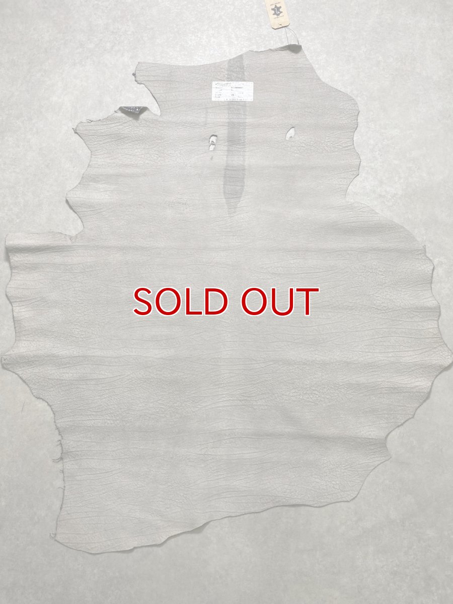 画像11: アンテロープ　 (11)