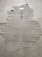 画像11: アンテロープ　 (11)