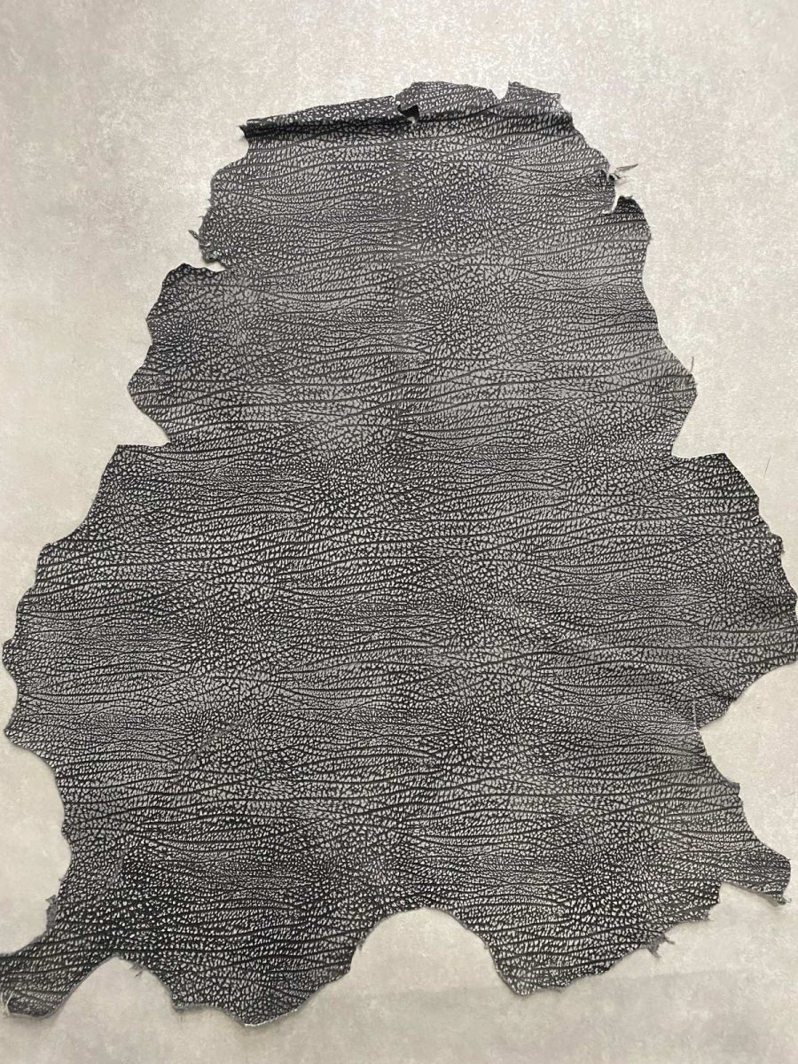 画像1: アンテロープ　 (1)