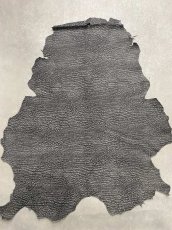 画像1: アンテロープ　 (1)