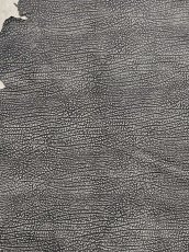 画像5: アンテロープ　 (5)